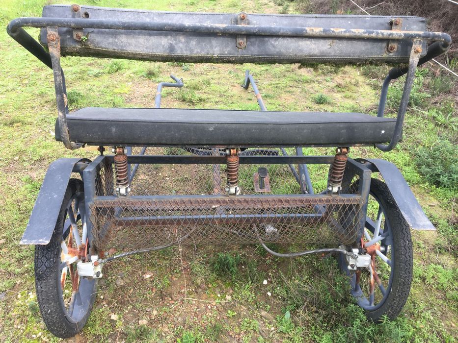 charete de 1 eixo para burro grande ou Mula / cavalo ate 155cm + Arreios sintheticos de Sieltec
