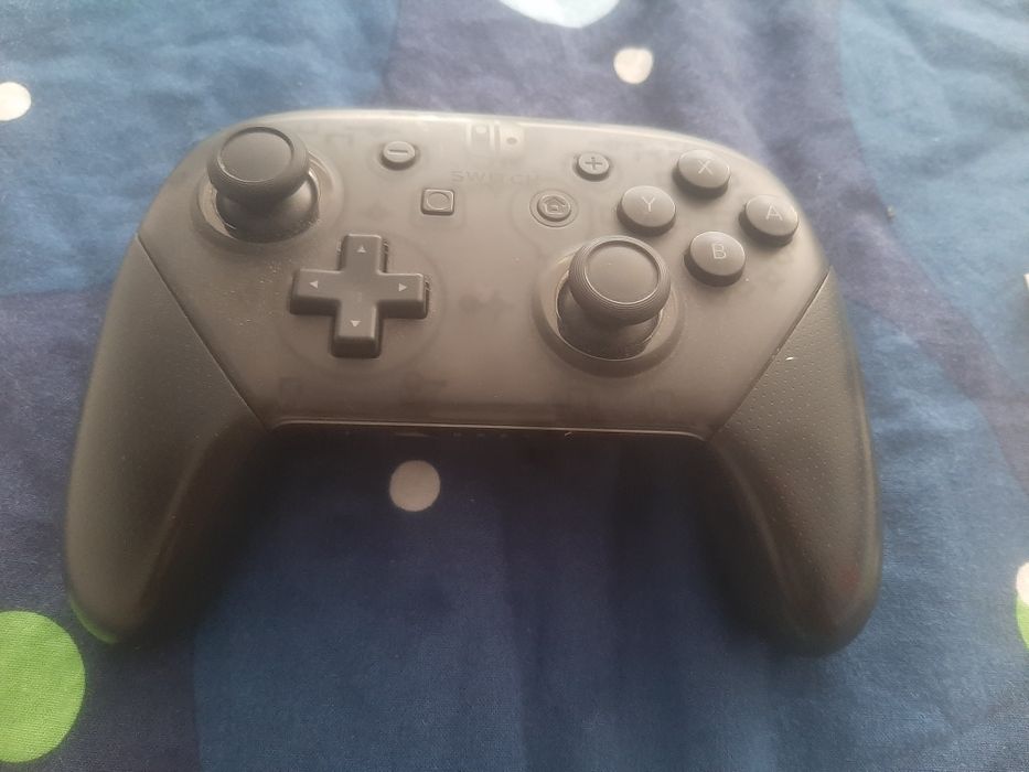 Nintendo switch pro controller