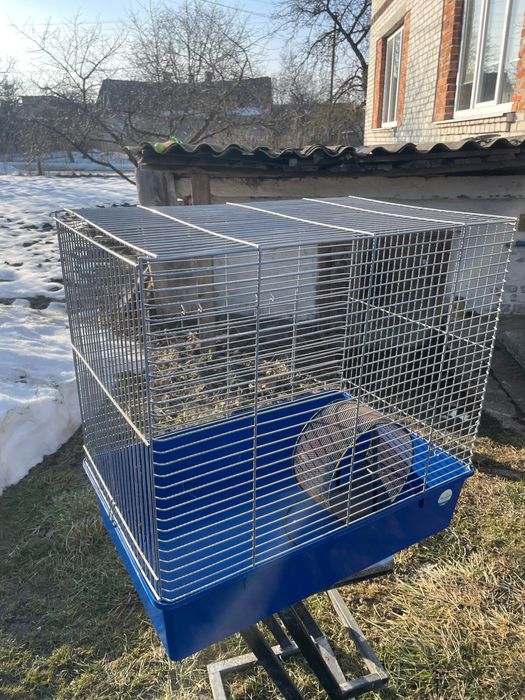 Клітка для гризунів