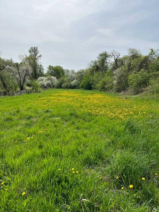 Продаж будинку в Єзуполі