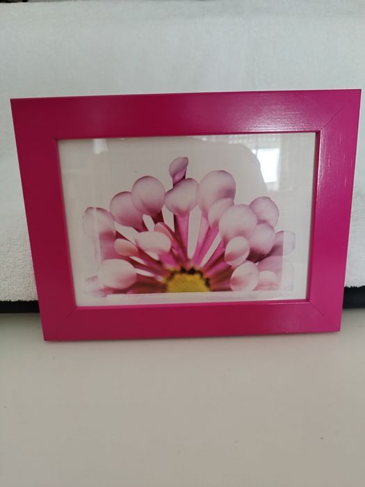 Molduras de Parede64740464573698122