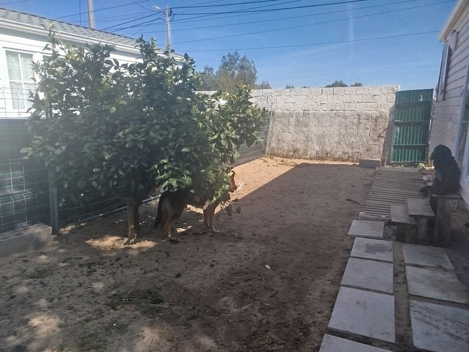 Casa T2 com espaço exterior