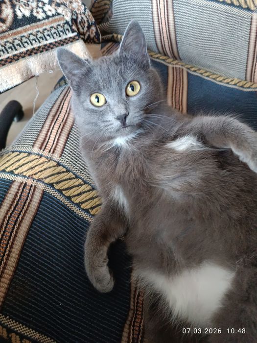 Чья загуба? Хмельницький