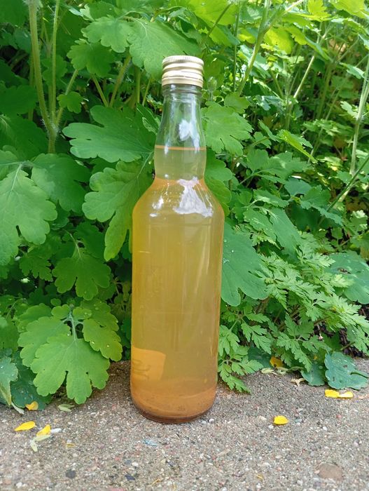 Ocet ze sliwek odmiany renkloda 100 % naturalny zywy dlugodojrzewajacy