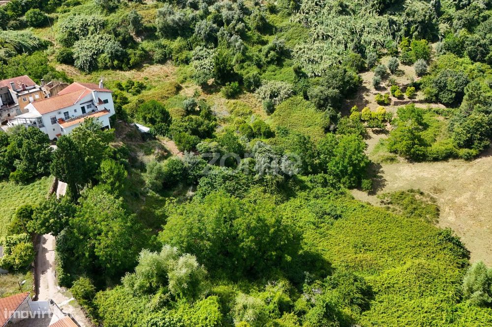 .Terreno Rustico | Bera |Almalaguês