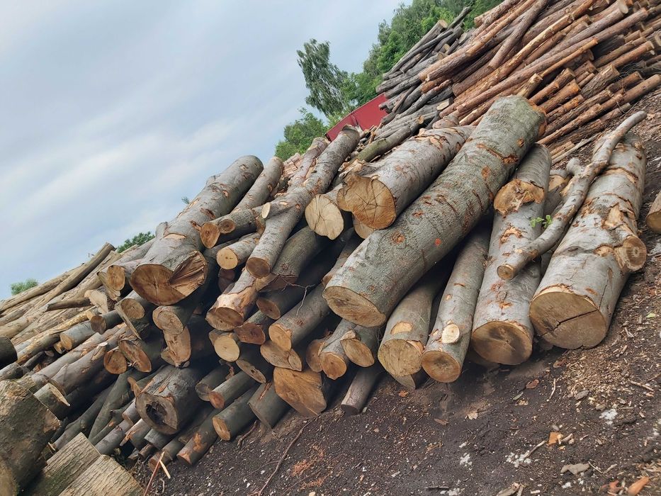 SUCHE DREWNO kominkowe, brzoza, dąb, buk, grab, opałowe iglaste