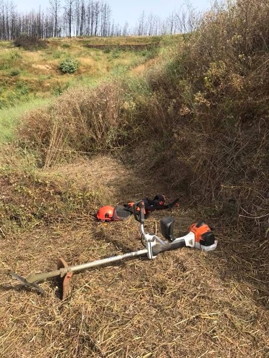 Manutenção de Espaços Verdes  Coja/Arganil