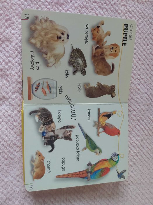 Sprzedam książkę dla dzieci "Zwierzęta żyjące blisko mnie"