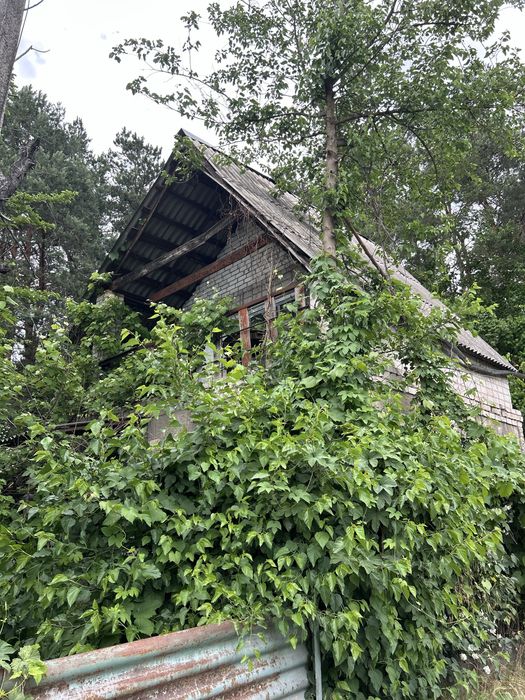 Дача під самим лісом