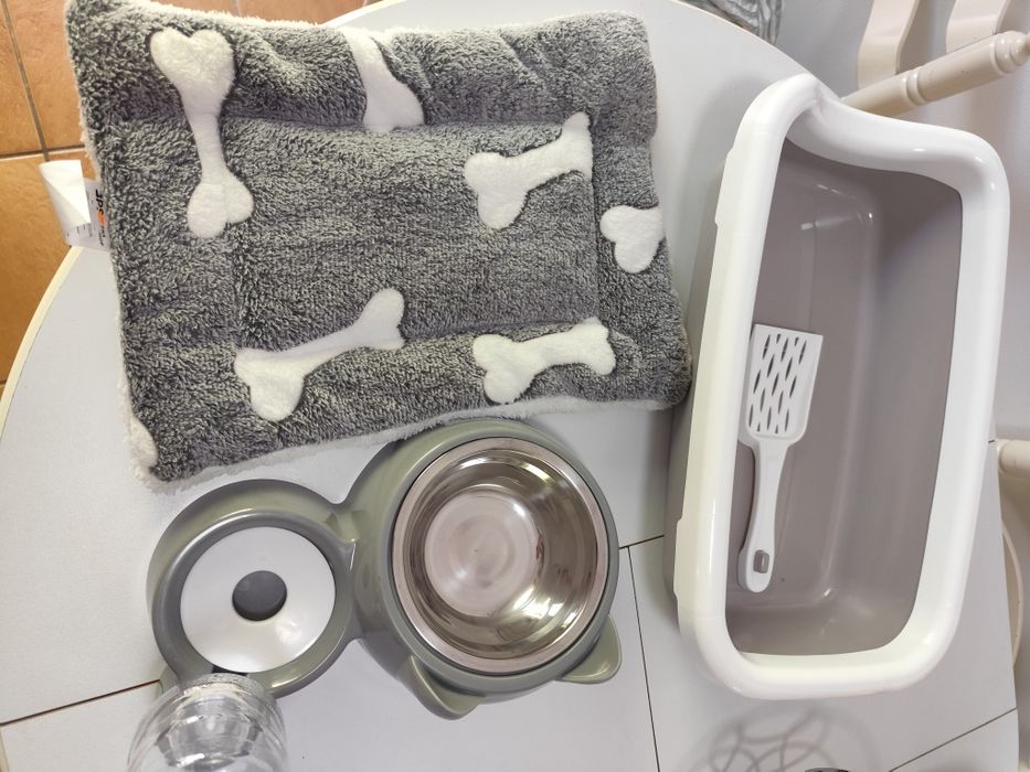 Kit completo para gato bebé
