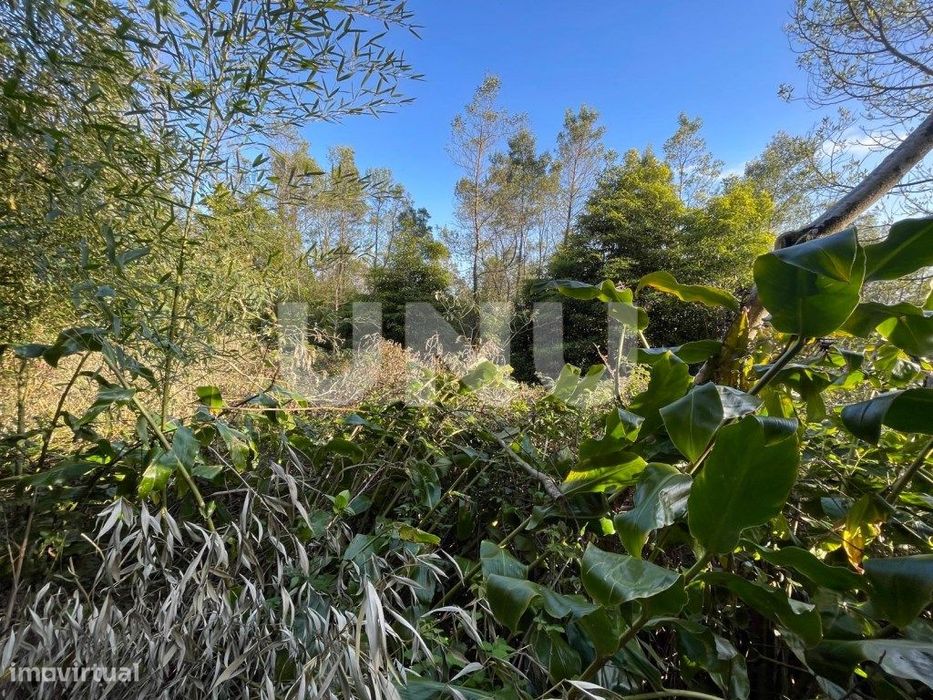 Terreno Rústico em Água de Pau