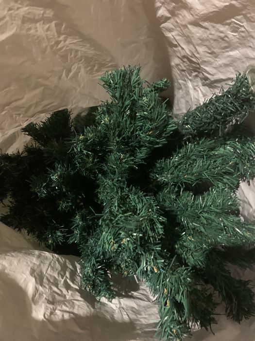 Pinheiro de Natal
