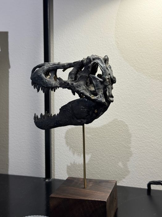 T-Rex- réplica em miniatura de crânio de dinossauro
