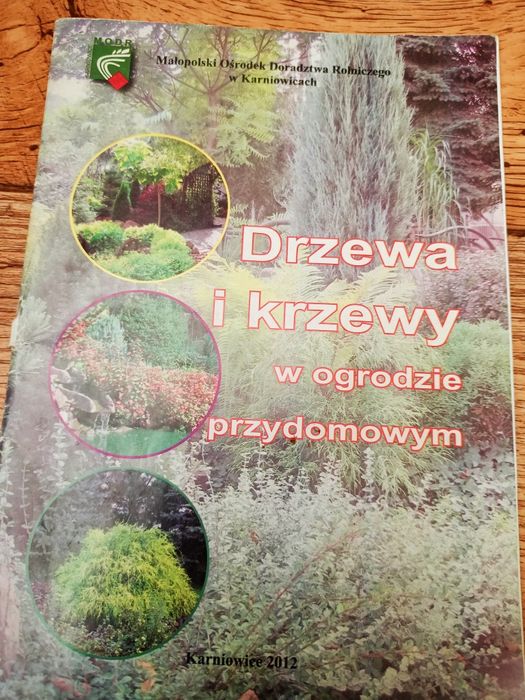 Drzewa i krzewy w ogrodzie przydomowym