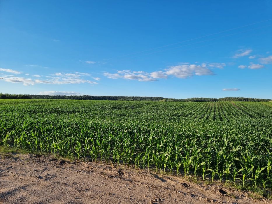 Ziemia rolna 6,32ha