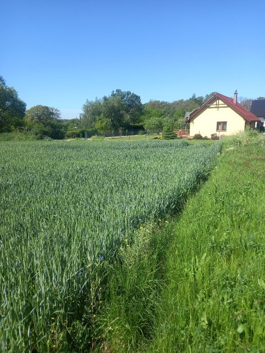 Sprzedam działkę budowlaną w Pyszącej