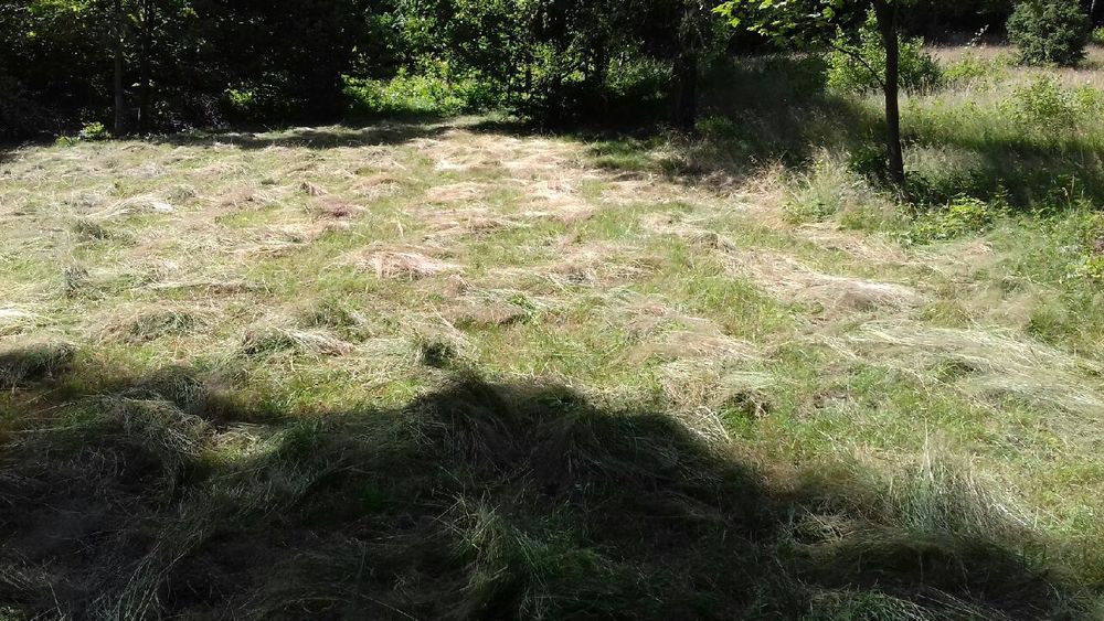 Działka rekreacyjna rolno-lesna własny kawał swiata