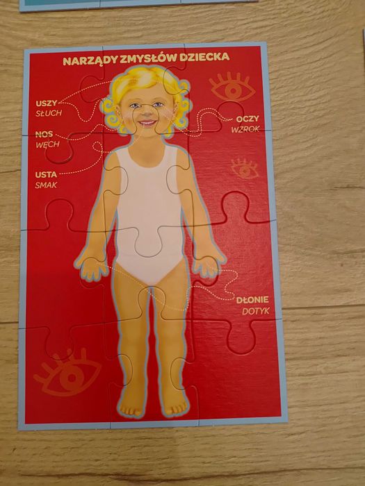 puzzle edukacyjne moje cialo