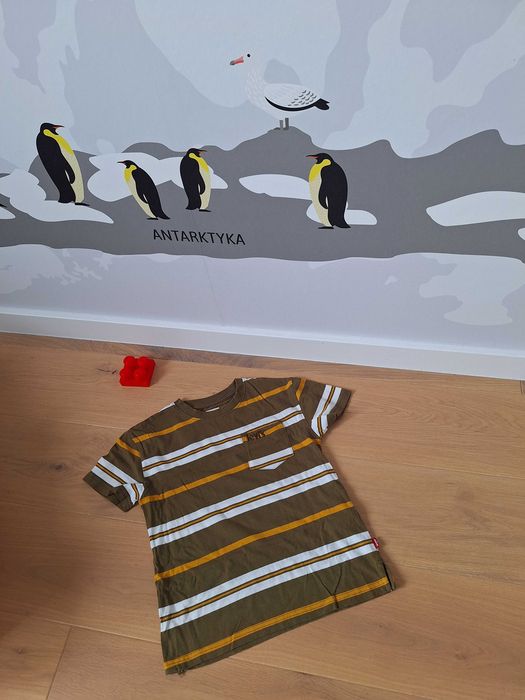 T-shirt elegancki w paski, z kieszonką dla chłopca- levis: like new:viralowy brąz w 2026r.