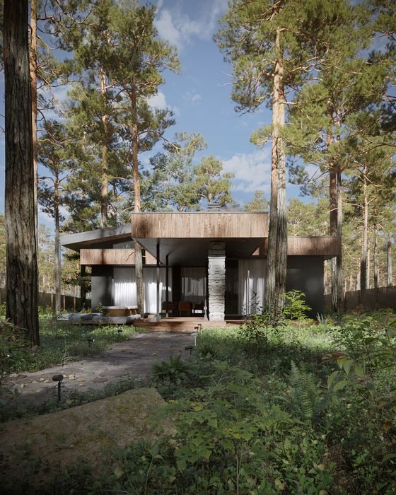 Дом в коттеджном городке Сосновый берег Обуховка пос Кировское