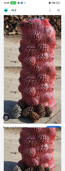 Vendo pinhas e sacos de lanha