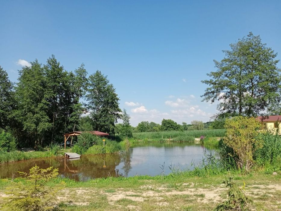 Raj na ziemi / działka z domkiem letniskowym 10km od Sandomierza!
