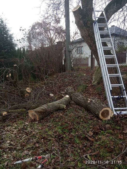 Чистка ділянок, благоустрій території, вивіз, подрібнення гілок