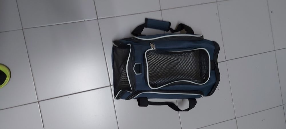 Cat Carriers508439015908321281