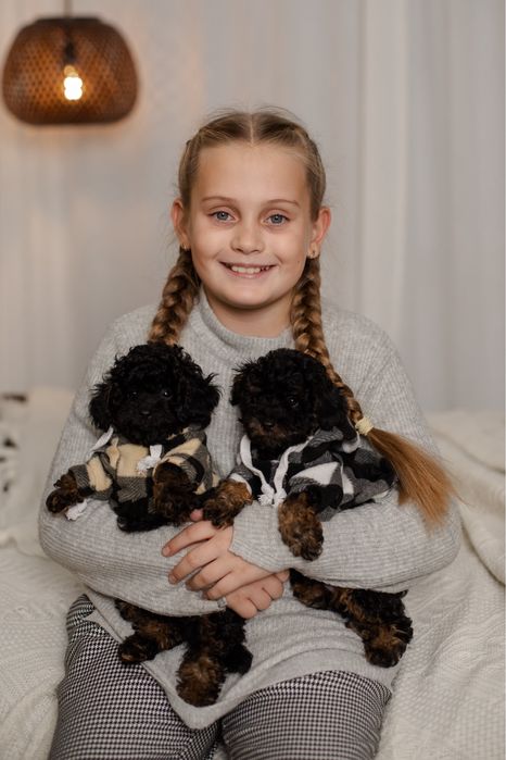 Той пудель фантом