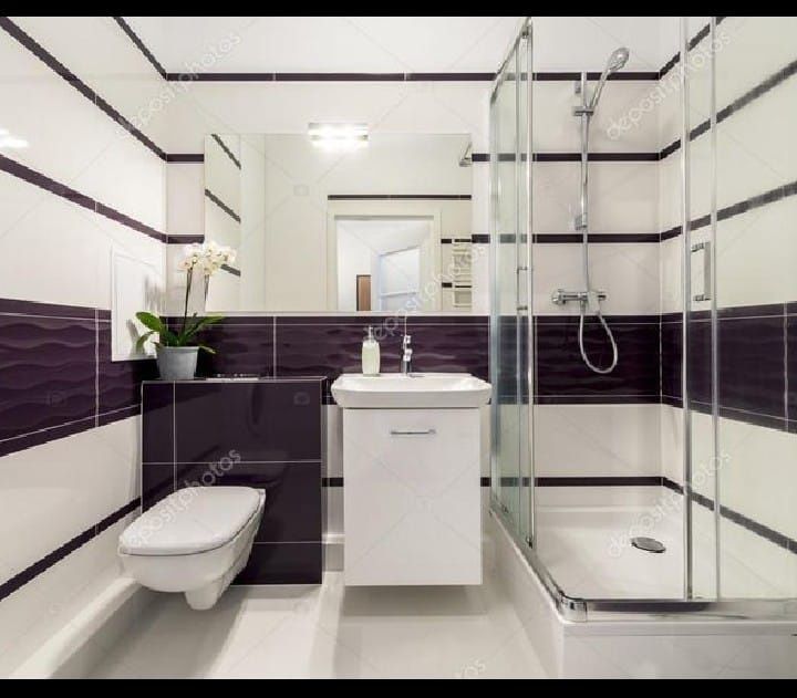 Reparações Em Tetos, Impermeabilização, M. Asfáltica, Canalização e +.