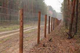 Słupki ogrodzeniowe okorowane