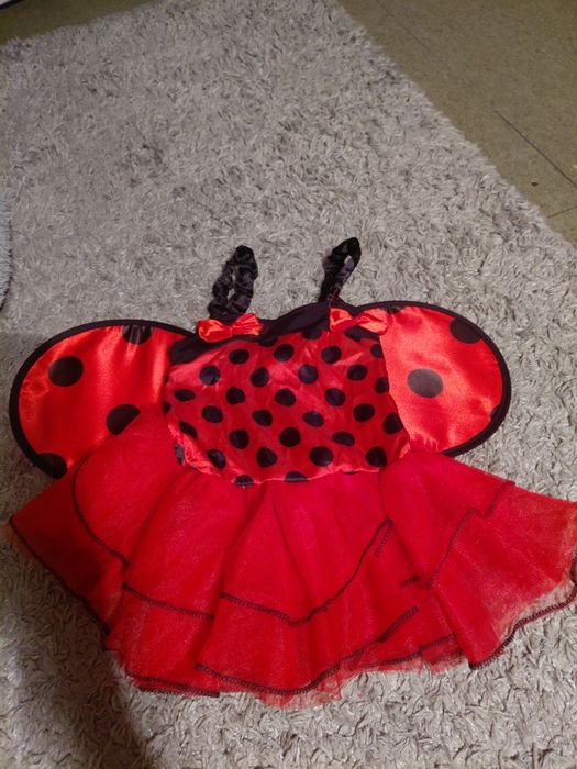 Strój karnawałowy biedronki