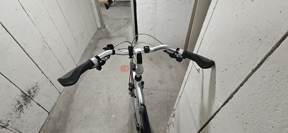 Rower męski Gazelle