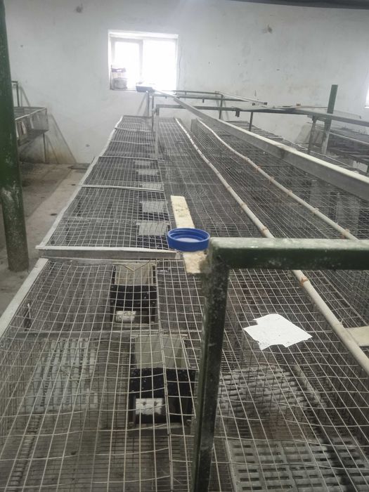 Клітки для кроликів