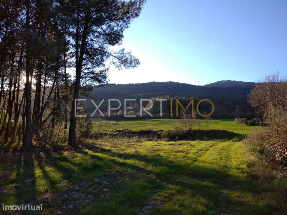 TERRENO AGRÍCOLA, plano, orografia regular, abundância de água e...