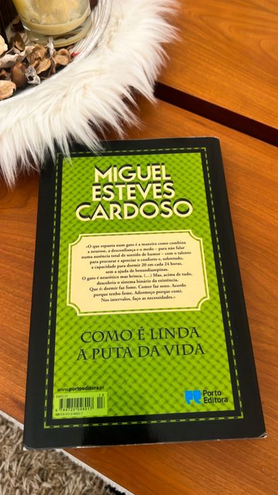 Como é linda a puta da vida