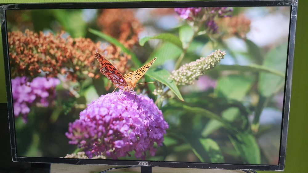 Monitor AOC 32 WQHD 75Hz
