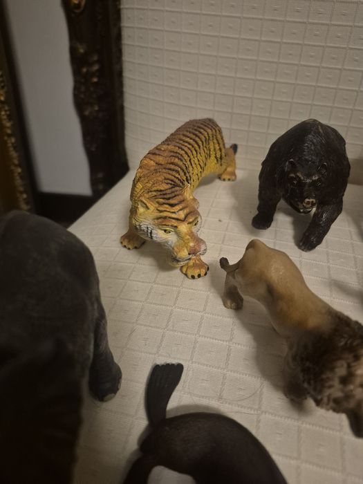 Lote de animais de muita qualidade