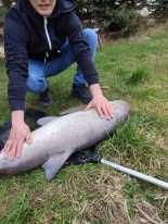 Wynajmę domek 6-ścio-osobowy