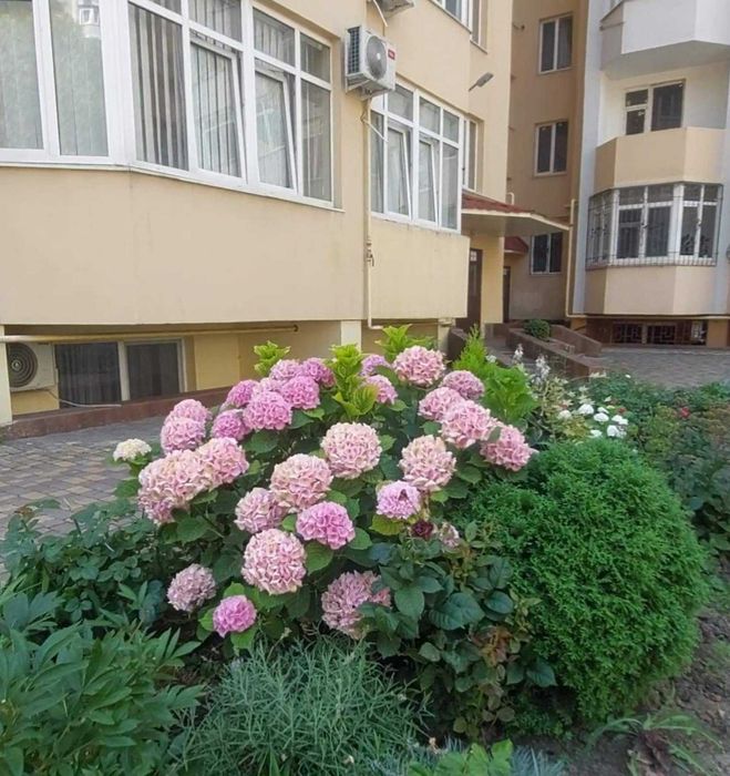 2 ком квартира в кирпичном доме Парк победы/ двухконтурный котел
