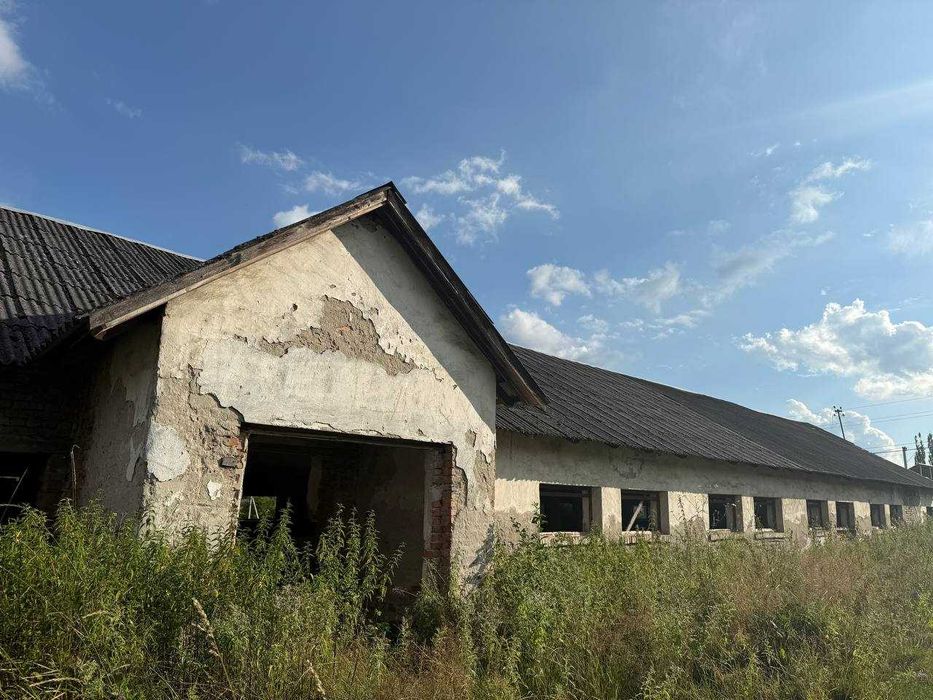 Виробниче приміщення, нежитлове приміщення, телятник, ферма