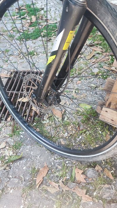 Bicicleta Focus craterlake