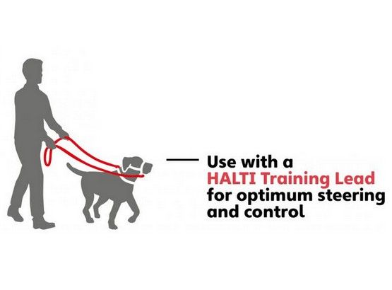 Kantar treningowy dla ciągnącego psa Halti czerwona obroża uzdowa r.4