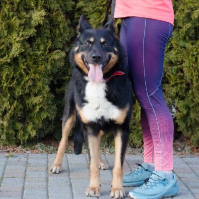 Lukas szuka kochającego domu