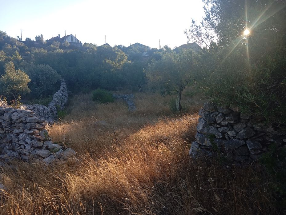 Limpeza de terrenos