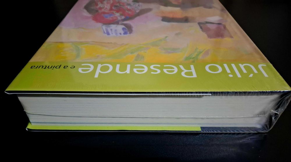 Julio Resende e a Pintura Grande Livro