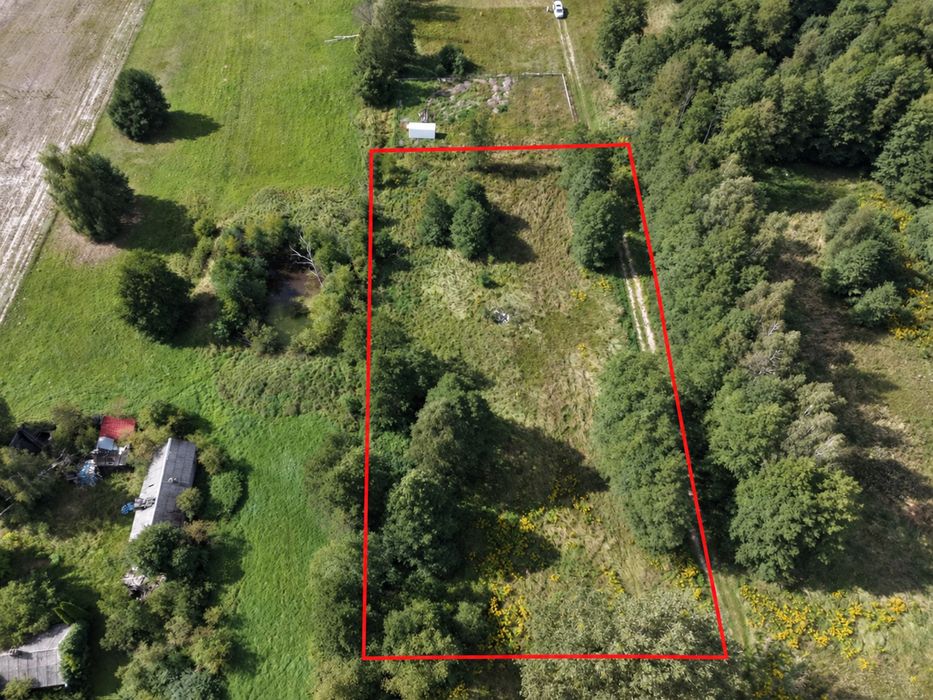 PIĘKNA DZIAŁKA BUDOWLANA 3233M² Z MPZP, z drzewami na działce, regularny ksztalt i potencjał podziału, Radziwiłłów - Widok 5
