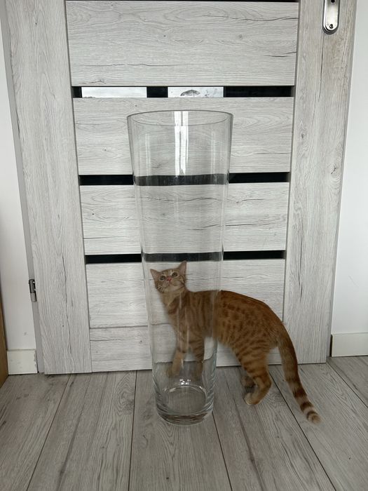 Wazon przeźroczysty ikea wysoki 69,5 cm