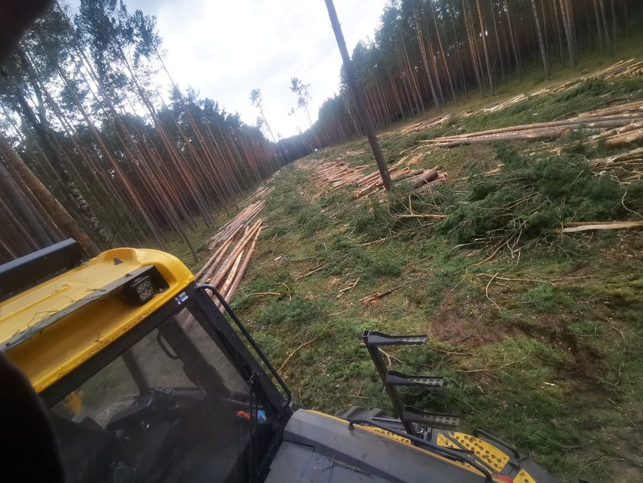 Mulczerowanie, rekultywacja gruntów,wycinka,  wycinka pod inwestycje