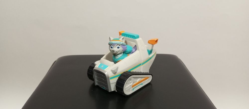 Veículo Everest Patrulha Pata